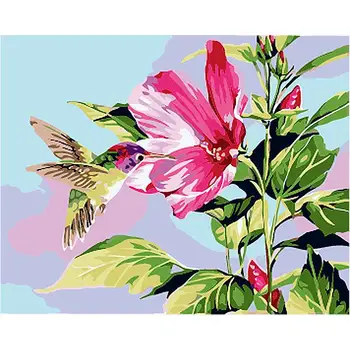 

Hummingbird DIY Kits Painting By Number Animal Coloring Oil Picture HandPainted Drawing Acrylic Paints By Number Home Decor Art