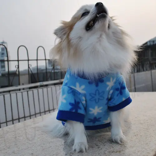 Unique Sweaters For Dogs - The Popular Clothes This Winter