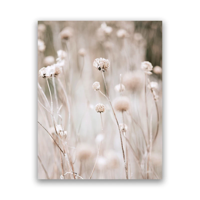 Pampas-Grass-Plants-Nature-Landscape-Painting-Canvas-Prints-Dried-Grass-Modern-Boho-Botanical-Poster-Gallery-Wall (5)