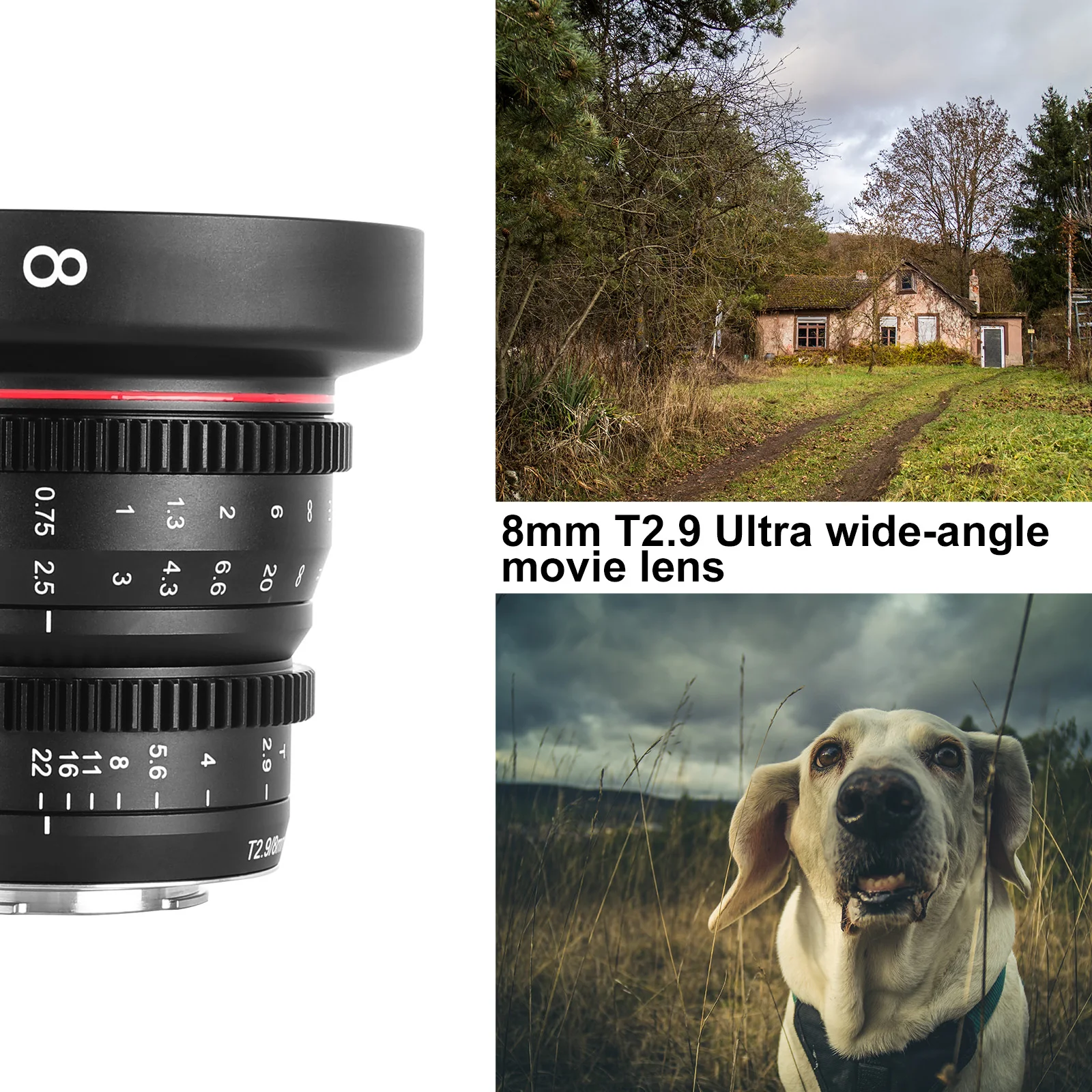 Meike Cine Lens 8mm T2.9 for for Micro Four Thirds (MFT, M4/3) Mount Olympus Pan