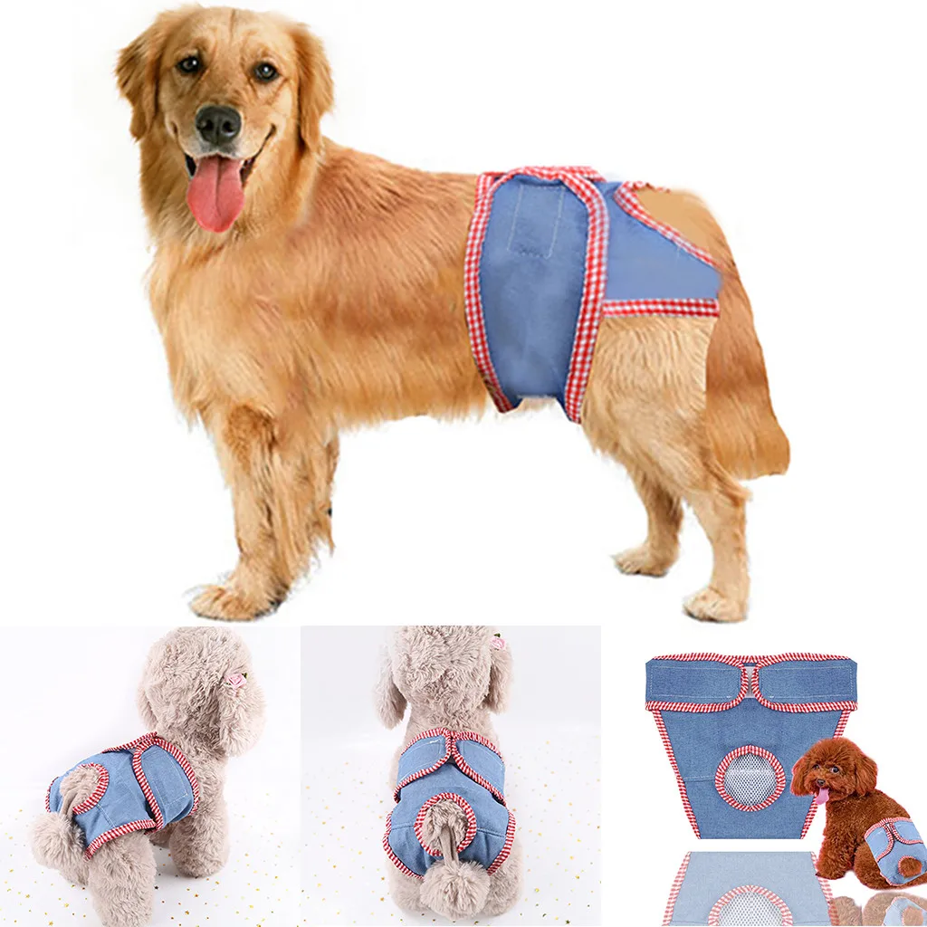 dog underwear for period
