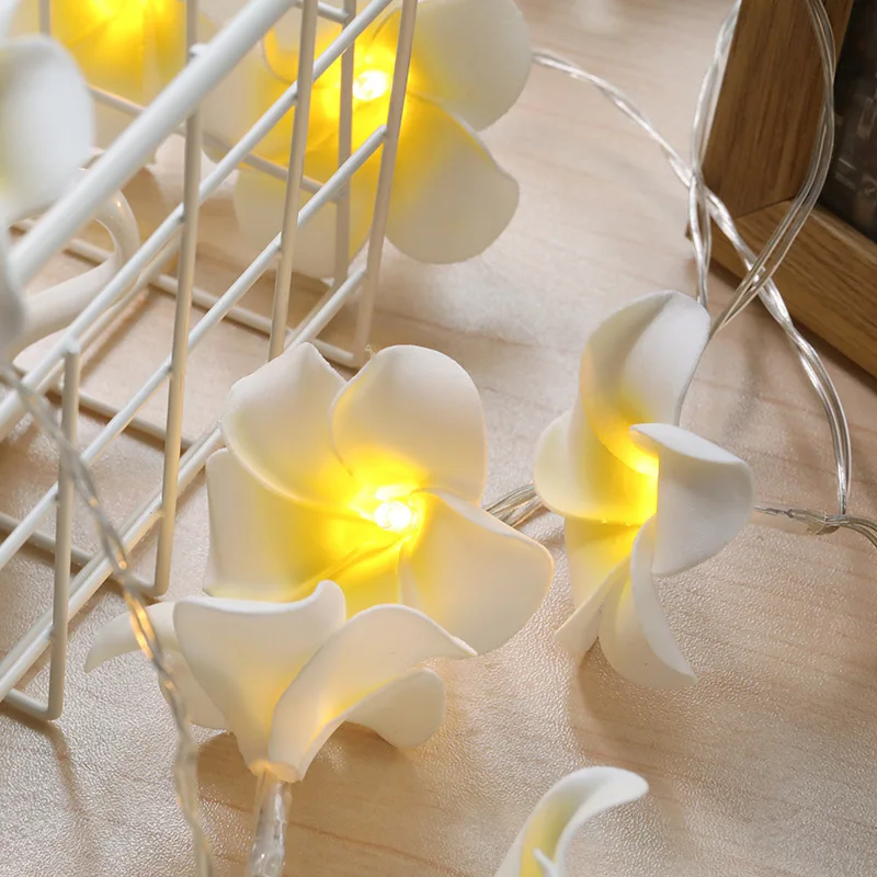 

New Style Model Plumeria Rubra Lighting Chain GIRL'S Heart Room Decoration Decorative LED Colored Lamp Manufacturers Direct Sell
