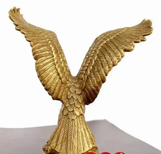 Zhmui88006063