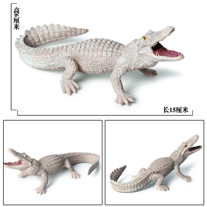 Model Solid Wild Animal Model CHILDREN'S Toy Model BoarCroc Crocodile Car Mounted Decorations And Ornaments Garage Kit