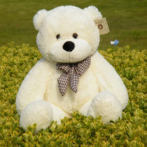 

Hot Selling Karena Lam Bear Teddy Bear Plush Bear Toy Doll-Processing Customizable Recruit Agents