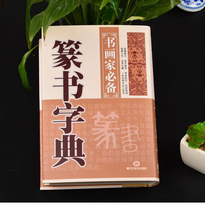 the-seal-character-dictionary-for-chinese-calligraphy-zhuan-shu-dictionary-795pages