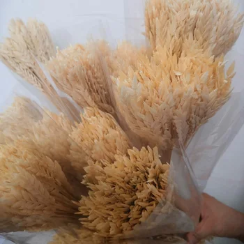 

15PC 30PC Natural Dried Flower Plants Wheat Ears For Home Party Decoration Flower Arrangement Art Supplies