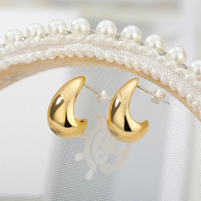 Stainless Steel Hook Earrings For Women Pin Minimalist Chic Baroque Style Elegant Female Jewelry Delicate Earring Gift 2022