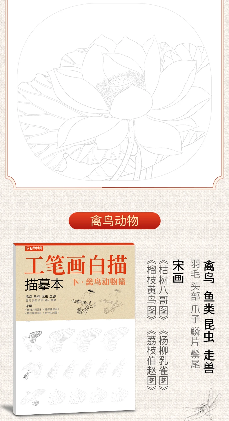 Sorgfältige Malerei, Strichzeichnung, Kopie, Malbuch, Grundtraining, intensive Verbesserung, Tutorial, Skizzenbuch, chinesische Malerei – Detail 9
