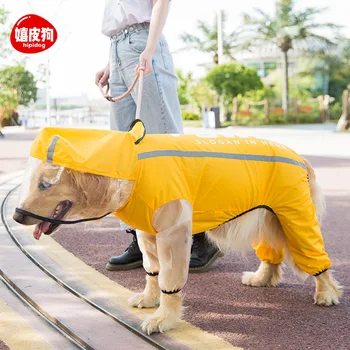 

raincoat golden haired Chai dog Samoye border herding Keji medium sized large dog pet waterproof clothes on rainy days