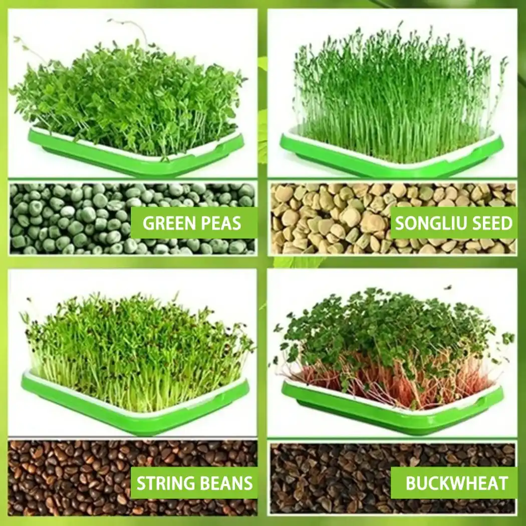 Microgreens Tray Hydroponic Tray Cultivation Tray Nursery Tray 10PCS Paper