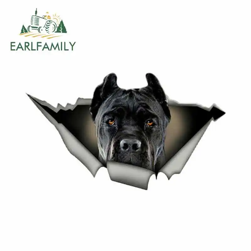 

EARLFAMILY 13cm x 13cm for Torn Metal for Auto Dog Funny Car Stickers Waterproof Anime Sunscreen JDM Vinyl Car Wrap Accessories