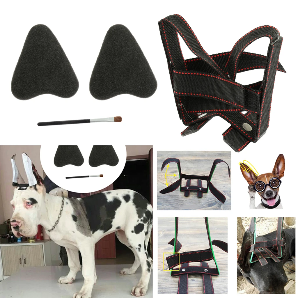 Dog Puppy Ear Care Standing Tool Suit For Samoyed, Great Dane Ear Correcting