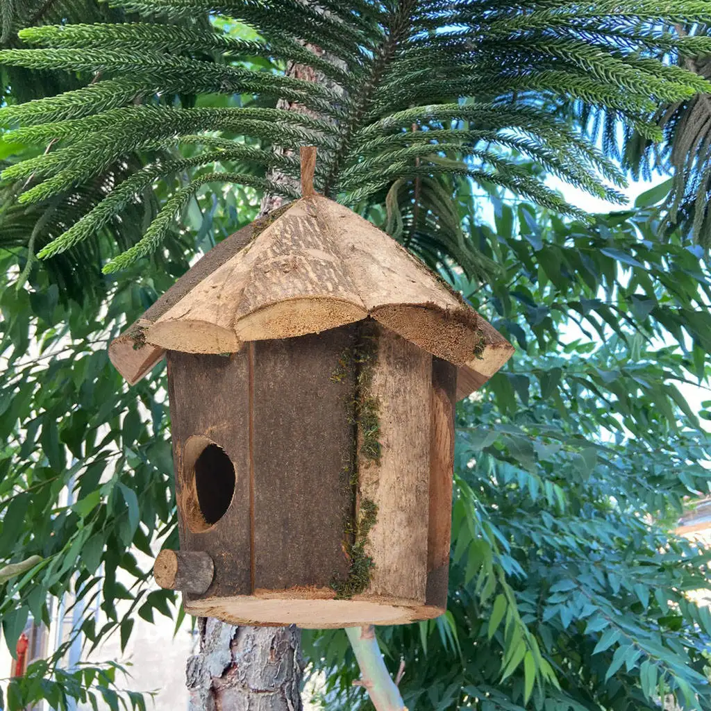 Outside Wooden Bird Nest 3
