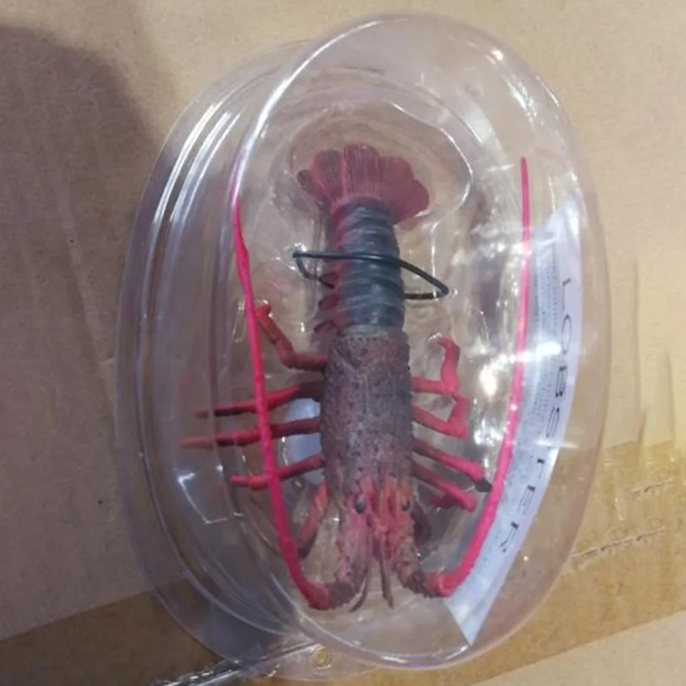 Aquarium Decoration Aquarium Landscaping Accessories Plastic Luminous Simulation Lobster Professional Simulated Animal