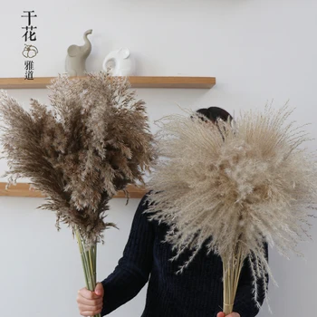 

10/50pcs Wild Pampas Grass Wedding Decoration Bouquet DIY Flower Arranging Window Decor Dried Flowers Table Setting Living Room