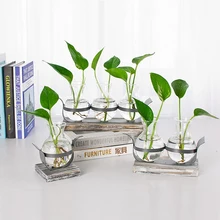 Креативный Европейский небольшой свежий зеленый редиска водосборник растение стеклянная бутылка Железный кусок slew ваза контейнер декоративный цветок