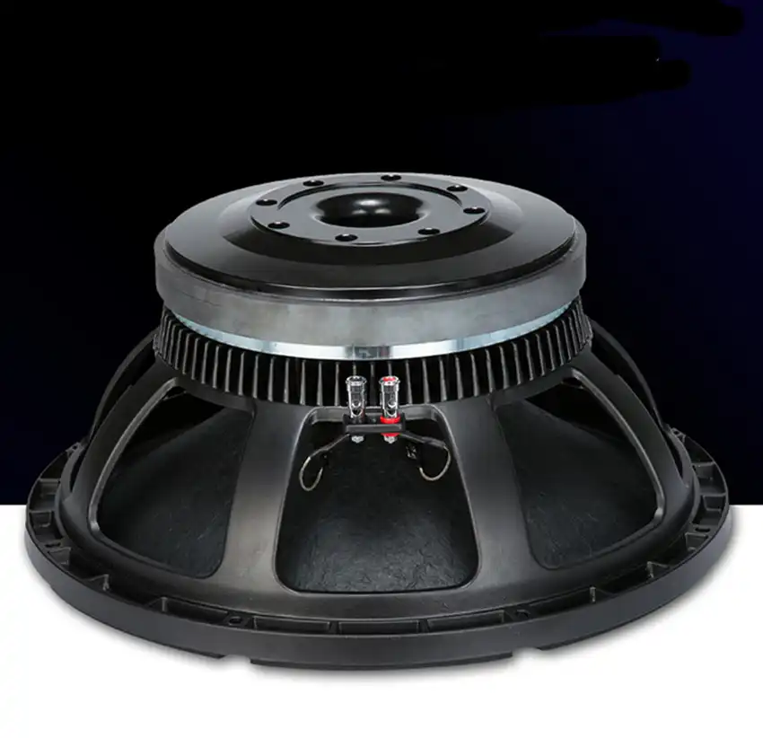 p audio speaker 18 inch 1000w