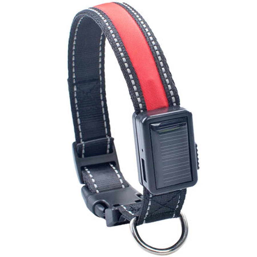 Nylon Running Dogs Collares With Light Solar USB Charging Puppy Collar Honden Halsband Dog Products Accessoire Chein EE5QY | Дом и сад
