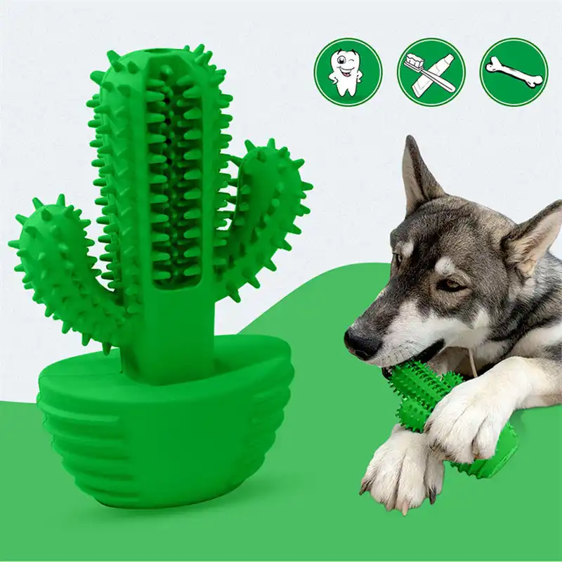 dog toothbrush green