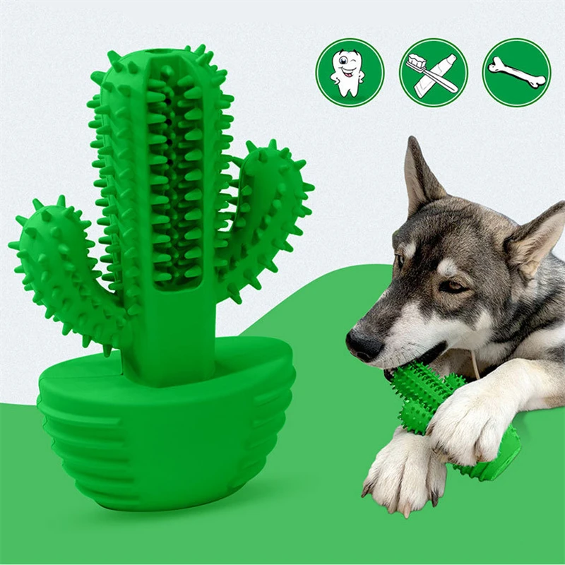 cactus chew