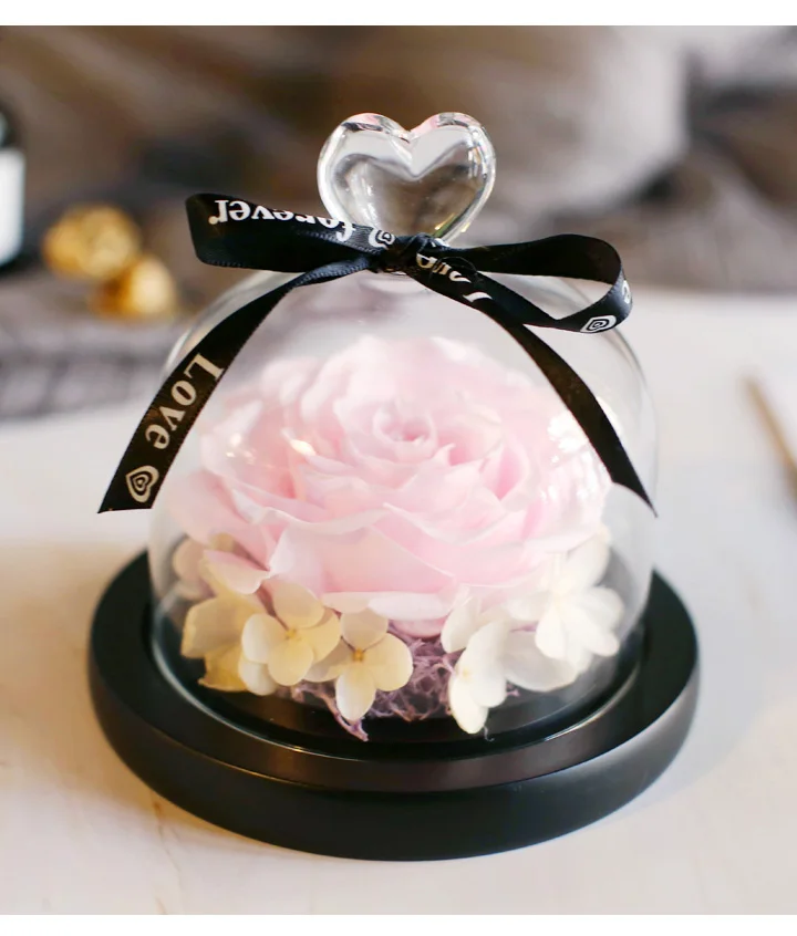 Love Everlasting flower vase Glass cover 12