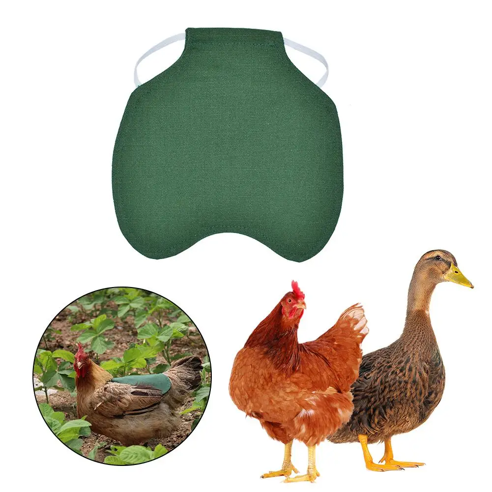 Фартук для курицы, седла, перьев, защита на спине, один ремень, стандартные куртки для курицы, птицы, жилет, защитный держатель