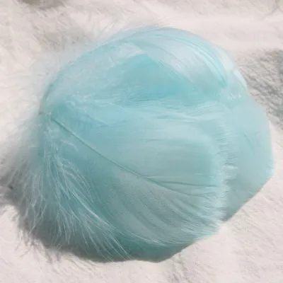 Light Blue 100pcs