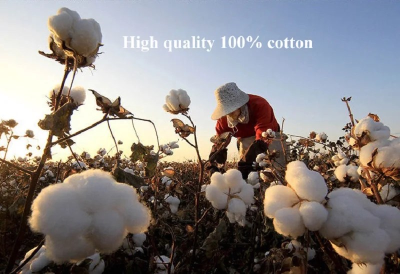 微信图片_20200525115027