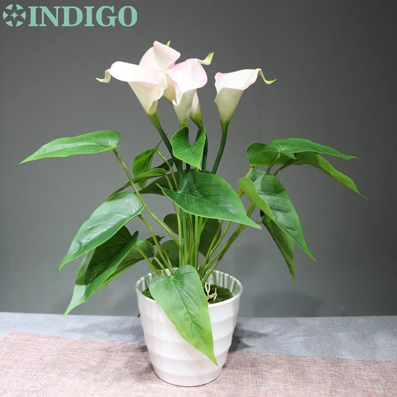 Букет Индиго-Калла(18 шт. листьев+ 5 шт. цветов+ корней) Настоящий сенсорный цветок(6 цветов) Свадебный Настольный Цветок Калла