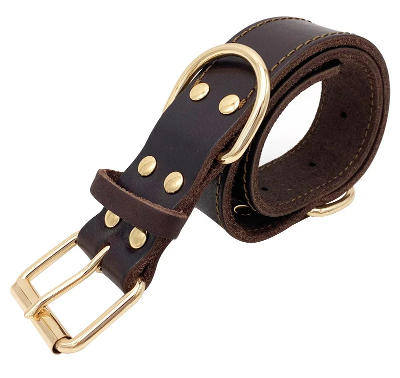 leather dog collar-