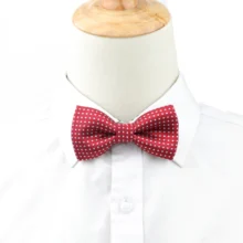 Детский галстук-бабочка из полиэстера для мальчиков и девочек, модный галстук-бабочка для маленьких животных, 25 цветов, однотонный галстук в горошек, черный, синий, мятный, зеленый, красный, фиолетовый цвета