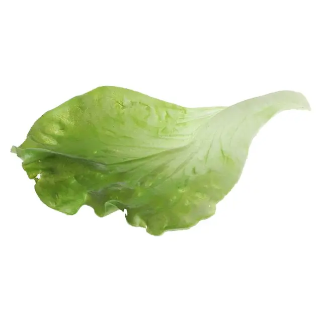 Due to the difference between different monitors, the picture may not reflect the actual color