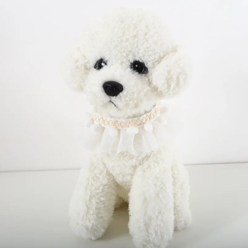 20849796060_1199050608