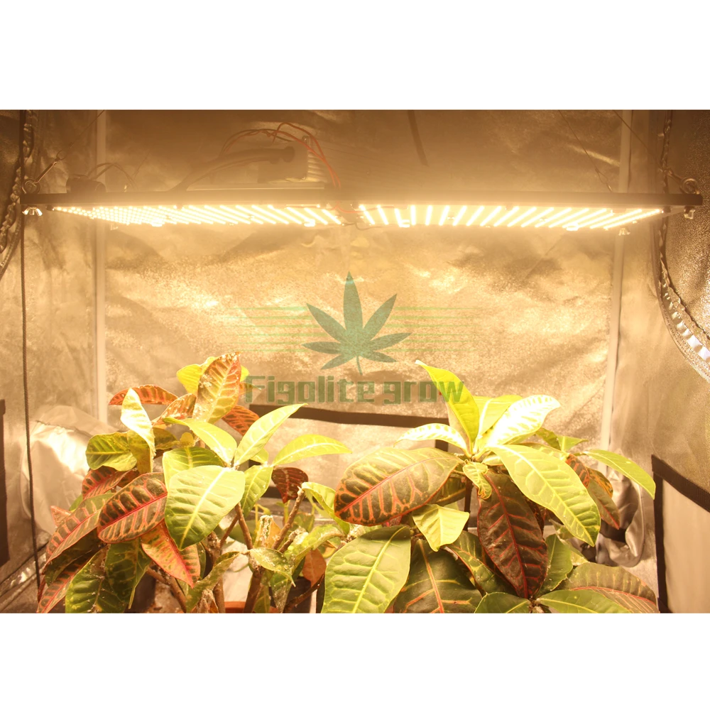 

DIY Dimmable 150w 240W Quantum Board Samsung lm301B 3000K/3500K mix 660nm UV IR, led grow light for garden vegetable and flower
