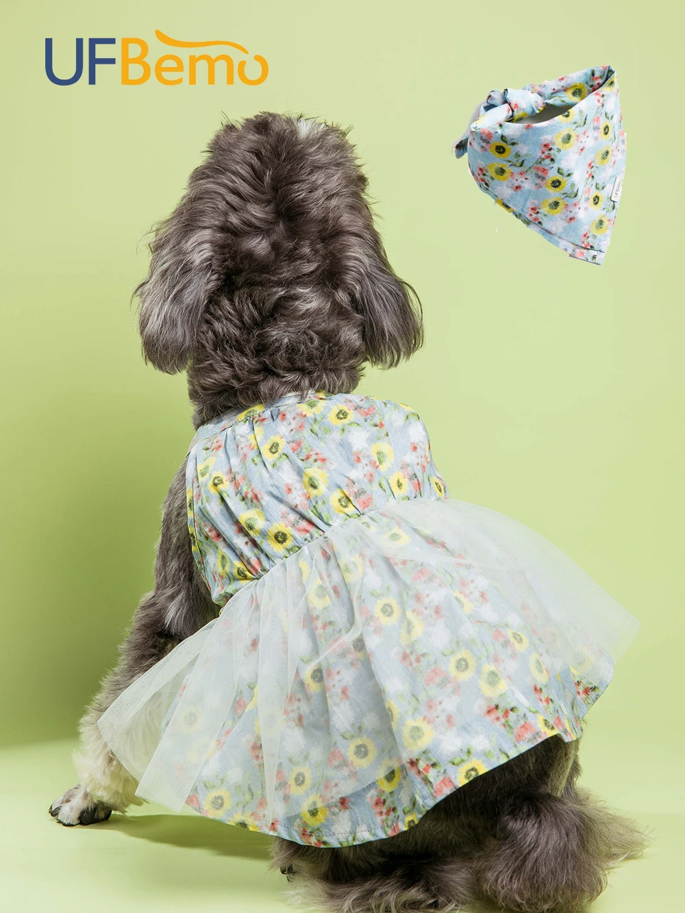 dog dress back