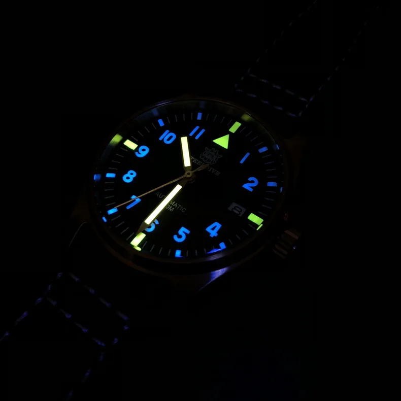 steeldive watch18