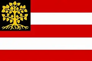 

90x150cm vlag van den bosch