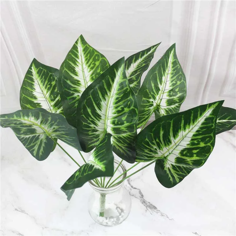 9555235855_2032011975