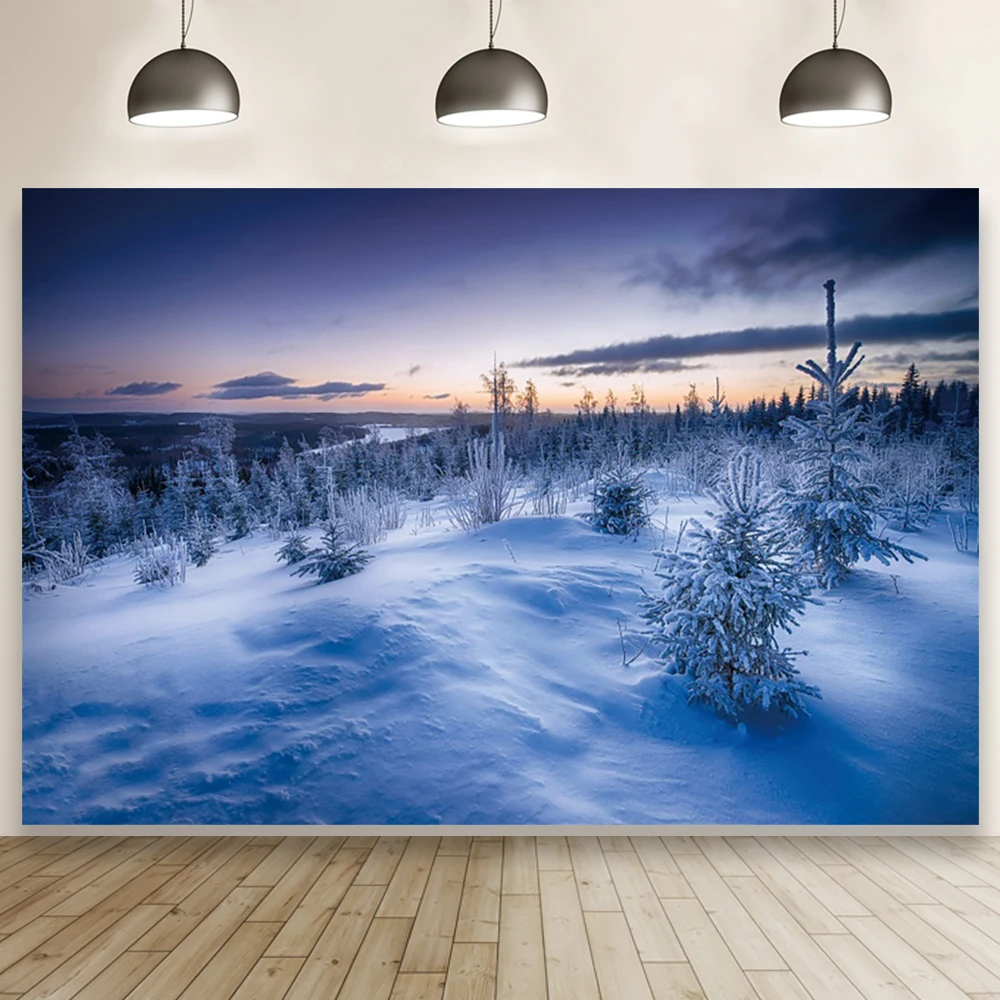 

Laeacco Beautiful Winter Landscape Snow Room Decoration Birthday Backdrop Photographic Photo Background For Photo Studio