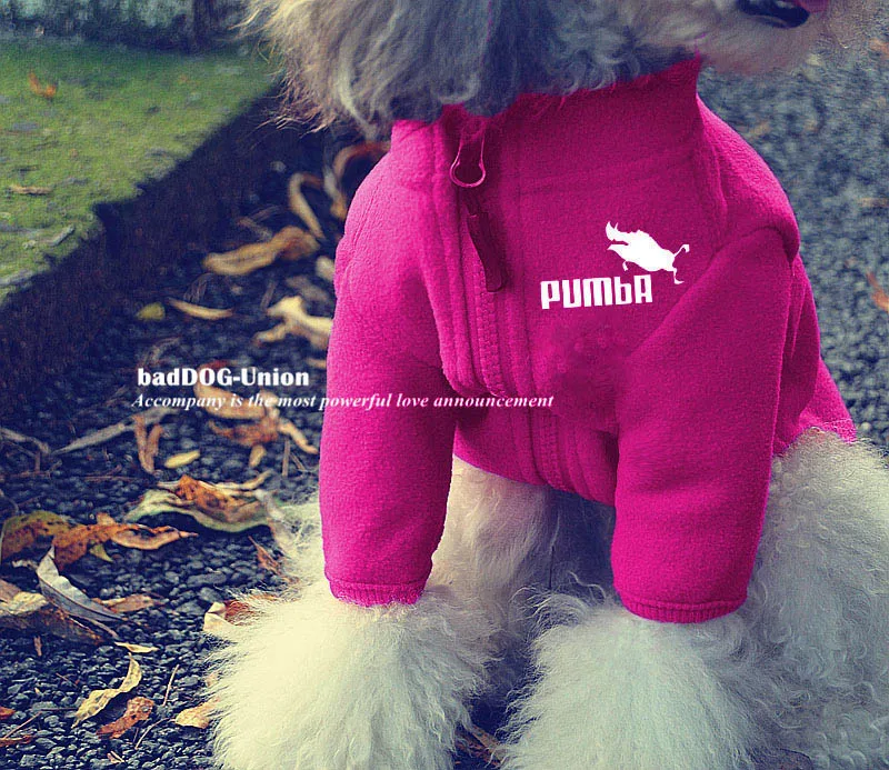 O1CN011Bts2e1pIjacEN8_!!69690004 - 副本 (3)