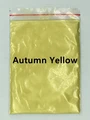Autumn Yellow