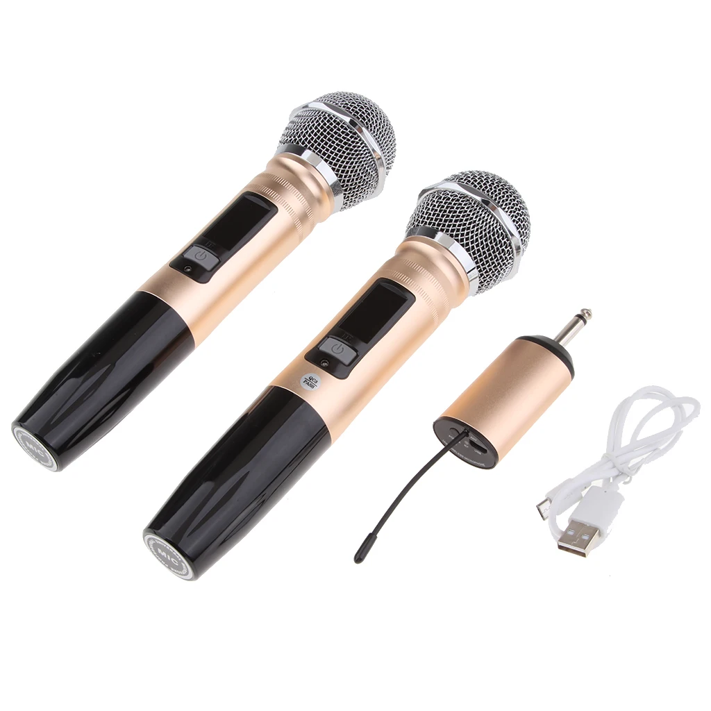 2 Channel Dual Handheld Cordless Microphone Mic System Set for Home Party KTV Wedding