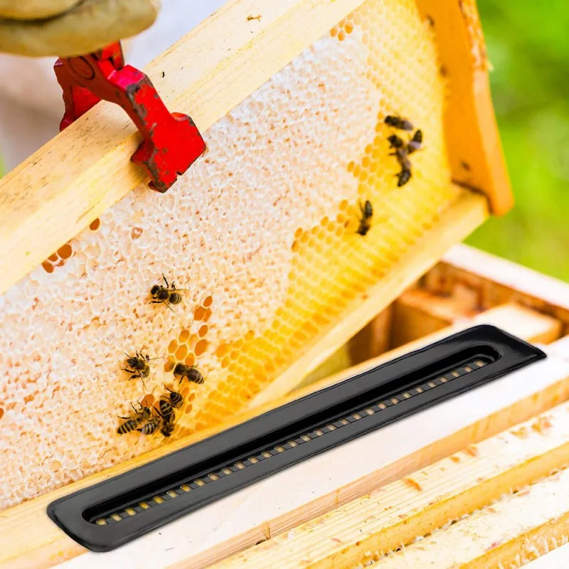 

10pcs/Set Black Small Bee Hive Beetle Blaster BeeHive Trap Beekeeping Equipment Tool Durable Beekeeping Supplies