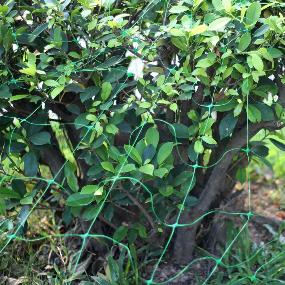 4bceded9f2b1f8c4a7d36e596559f2e9