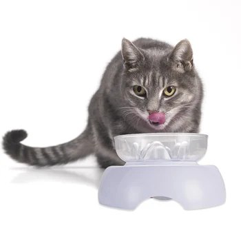 

Cat Food Bowls 15 Degrees Tilted Pet Bowls White Stand Transparent Bowl 66CY