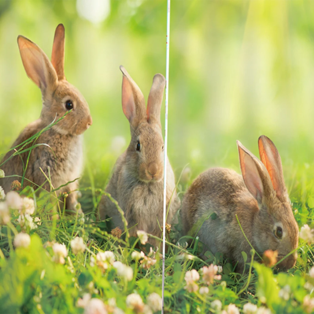 Rabbit 3D печать животных шторы для окон балдахин для гостиной, 59x6", 2 панели/комплект с крючками для штор и бесшумным кольцом для штор - Цвет: Rabbit