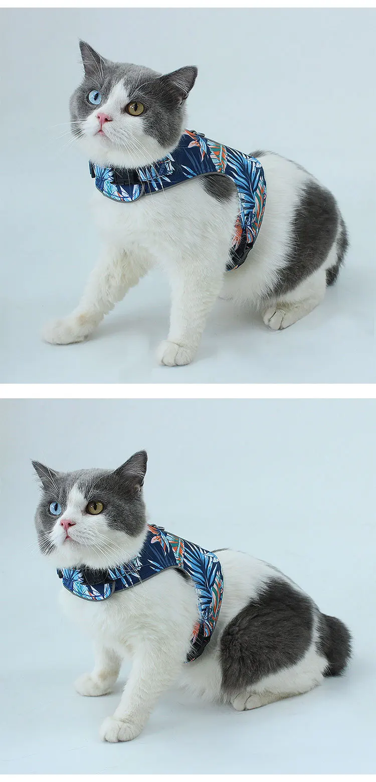 cute cat harness