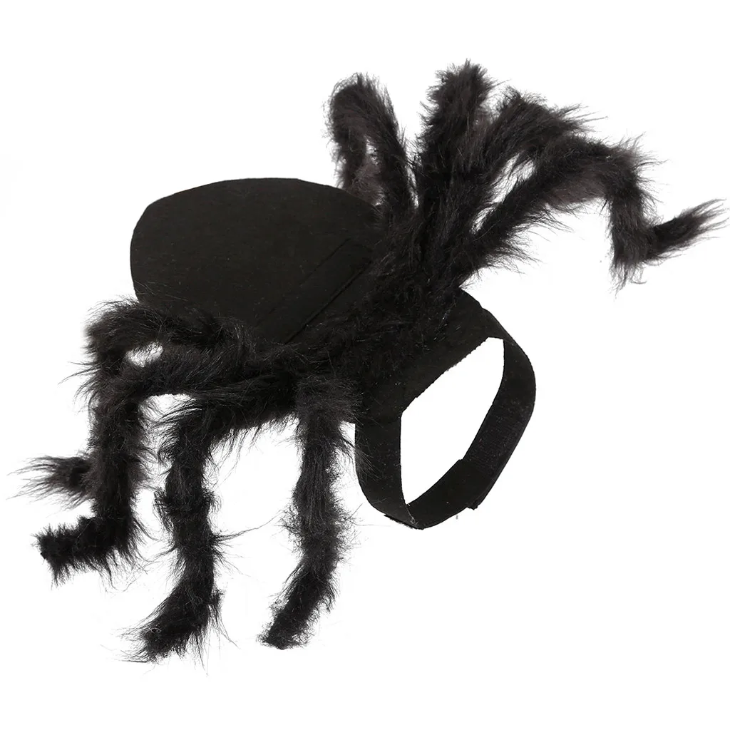 Halloween mascota perro broma gato Accesorios negro araña miedo Prop Horror mochila villano terror animales divertido para perro| AliExpress