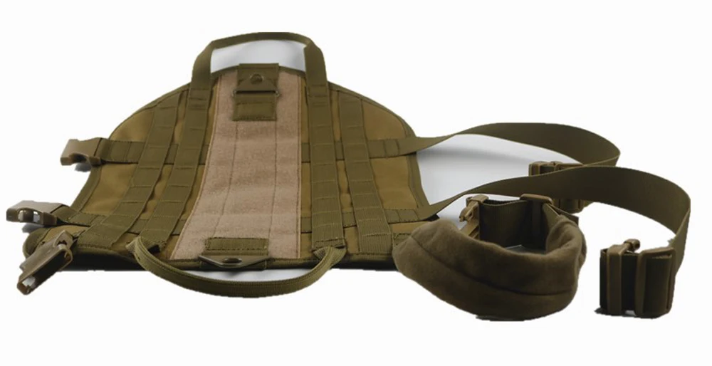 5570308544_1312717047